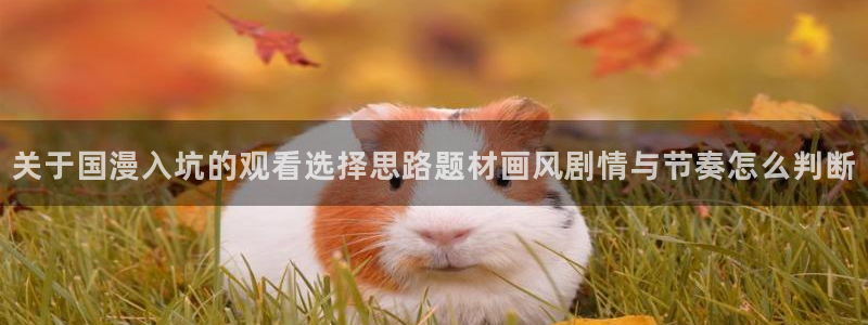 YY漫画本周排行:关于国漫入坑的观看选择思路题材画风剧情与节奏怎么判断配图