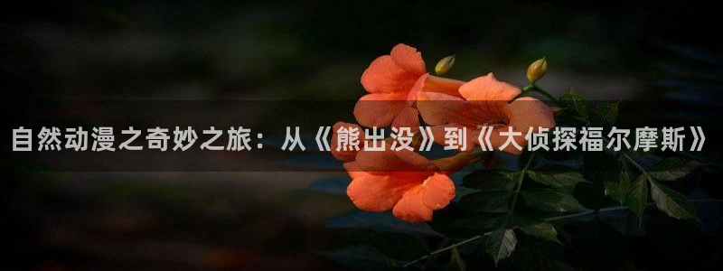 YY漫画今日排行:自然动漫之奇妙之旅:从《熊出没》到《大侦探福尔摩斯》配图