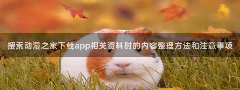 YY漫画热门新作：搜索动漫之家下载app相关资料时的内容整理方法和注意事项配图
