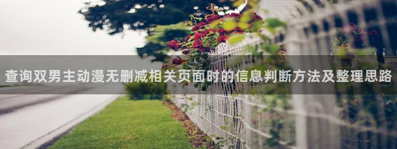 YY漫画电脑在线看:查询双男主动漫无删减相关页面时的信息判断方法及整理思路配图