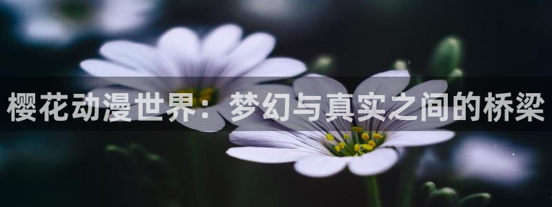 YY漫画最新完结：樱花动漫世界：梦幻与真实之间的桥梁配图